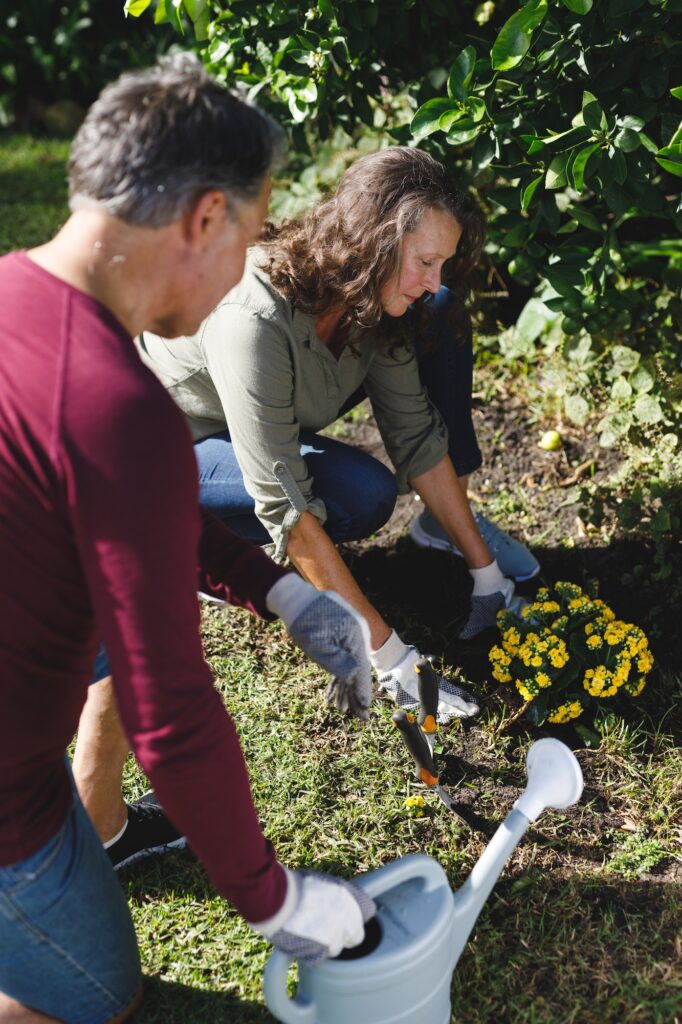 Happy senior caucasian couple wildflower gardening together in sunny garden