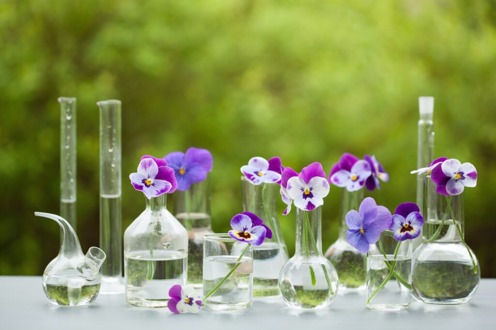 pansy flowers in chemical glassware, table decoration in garden